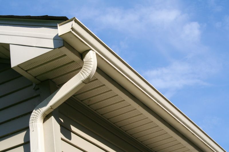 Gutter Service detail